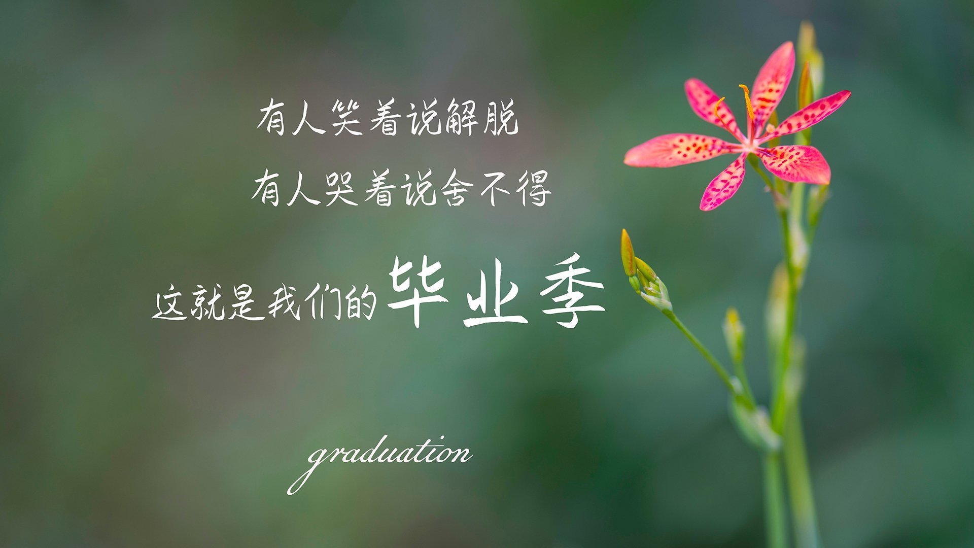 AIYOUXI-王者荣耀高校联赛开启，校园电竞风云再起，王者高校联赛学校
