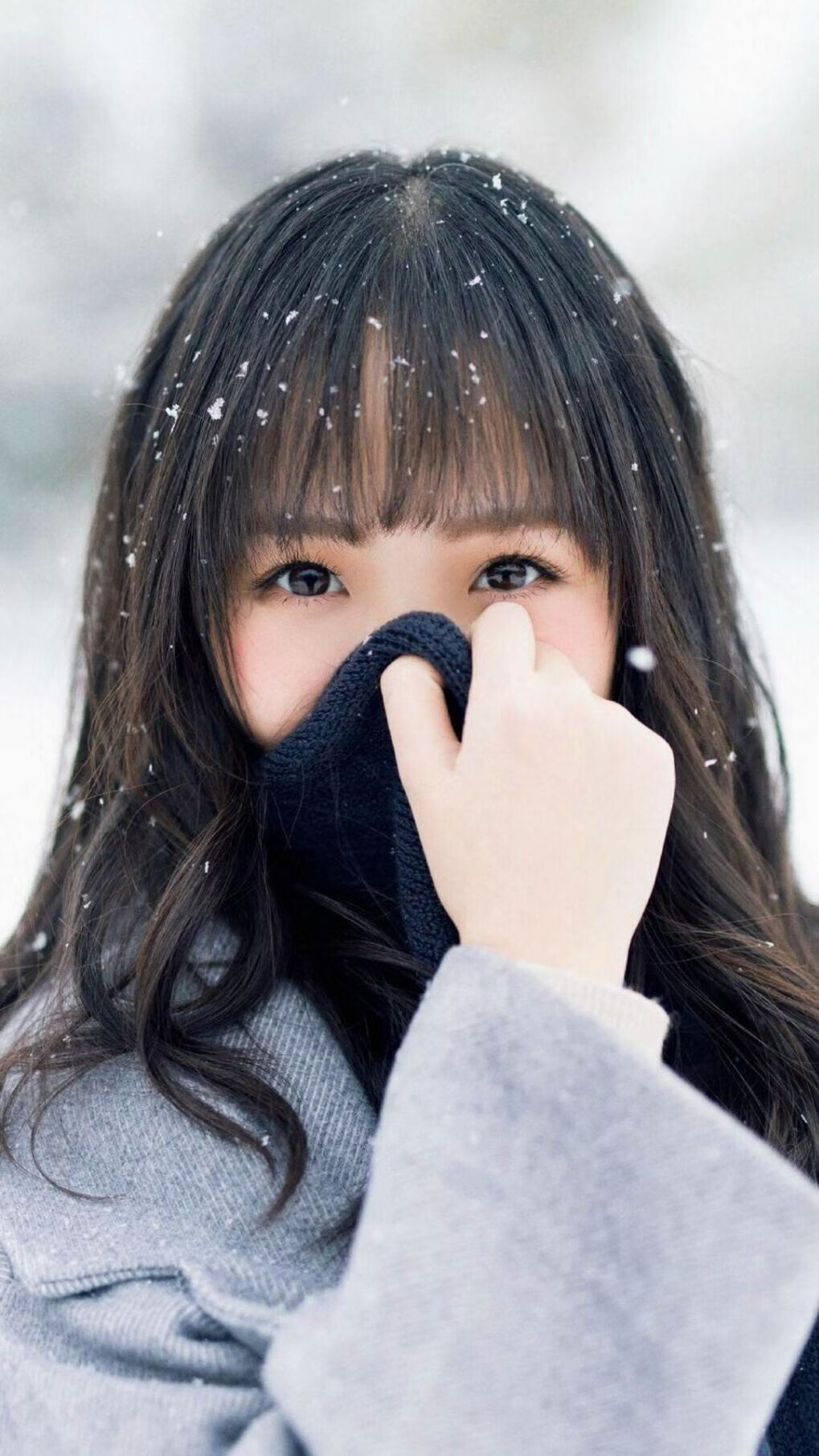 赛道背后：车队运营与策略的幕后揭秘，车队赛是什么意思