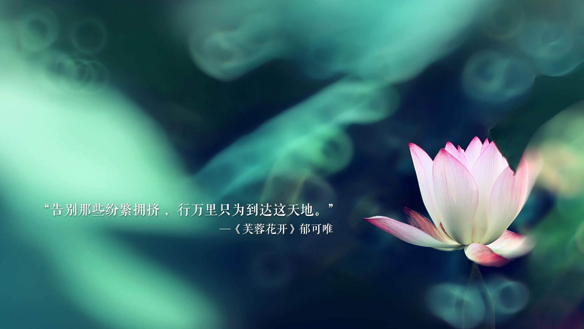 爱游戏官方-RB莱比锡表现出色，击败对手取得胜利，rb莱比锡为什么这么强
