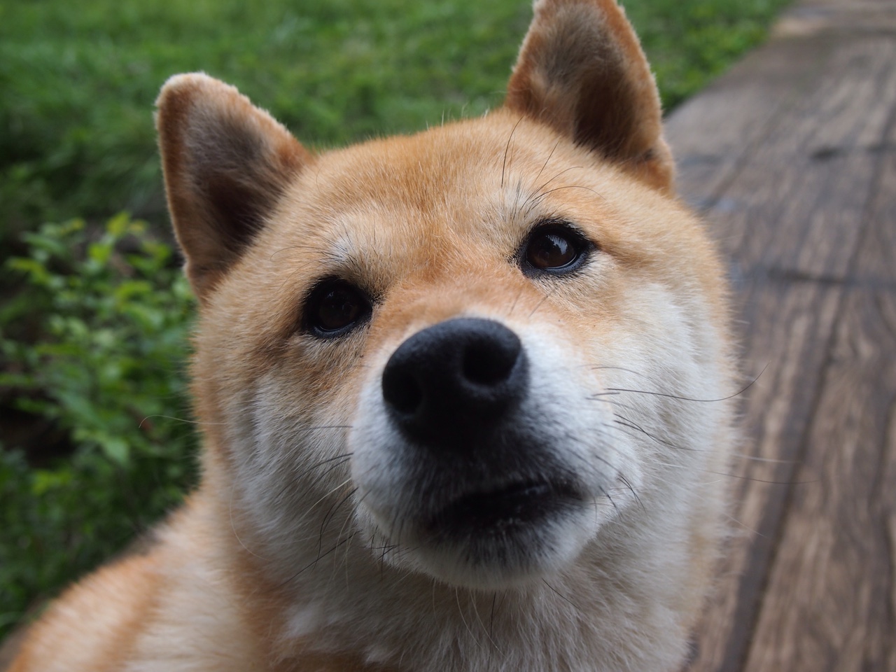 爱游戏体育-战术博弈：豪门彼此较量中的战术晋级细节，战术ai