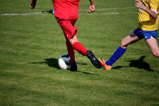 爱游戏APP-篮球训练计划科学制定及执行效果跟踪研究，简述篮球训练计划制定步骤