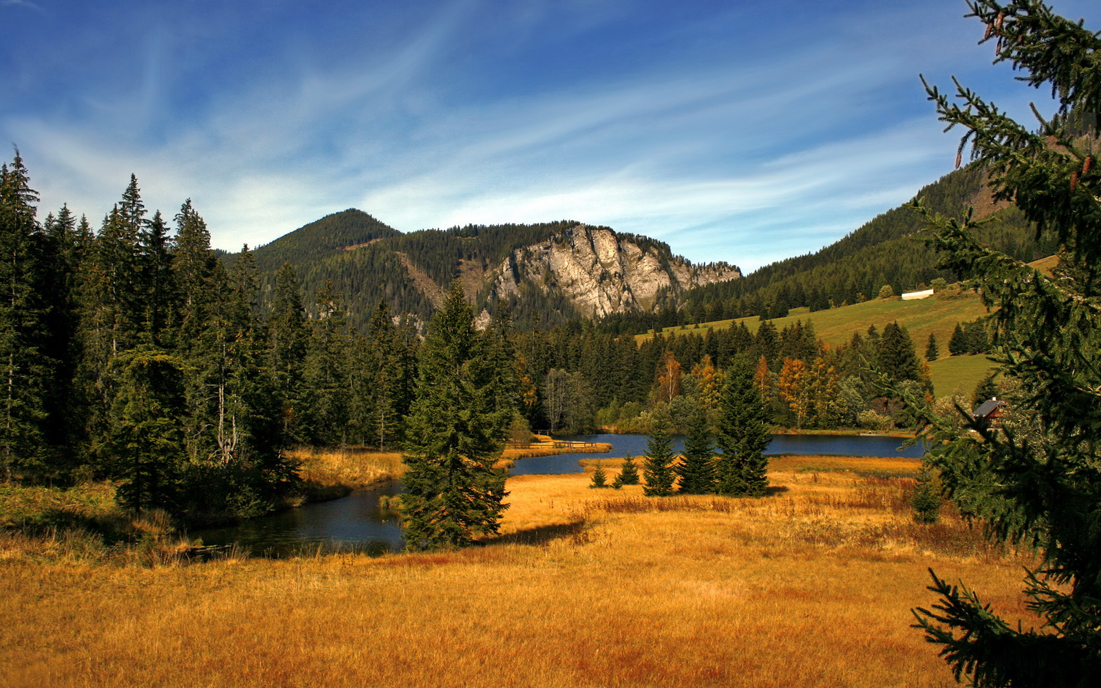 财务透明:五大联赛俱乐部财报公开分析,五大联赛上市俱乐部