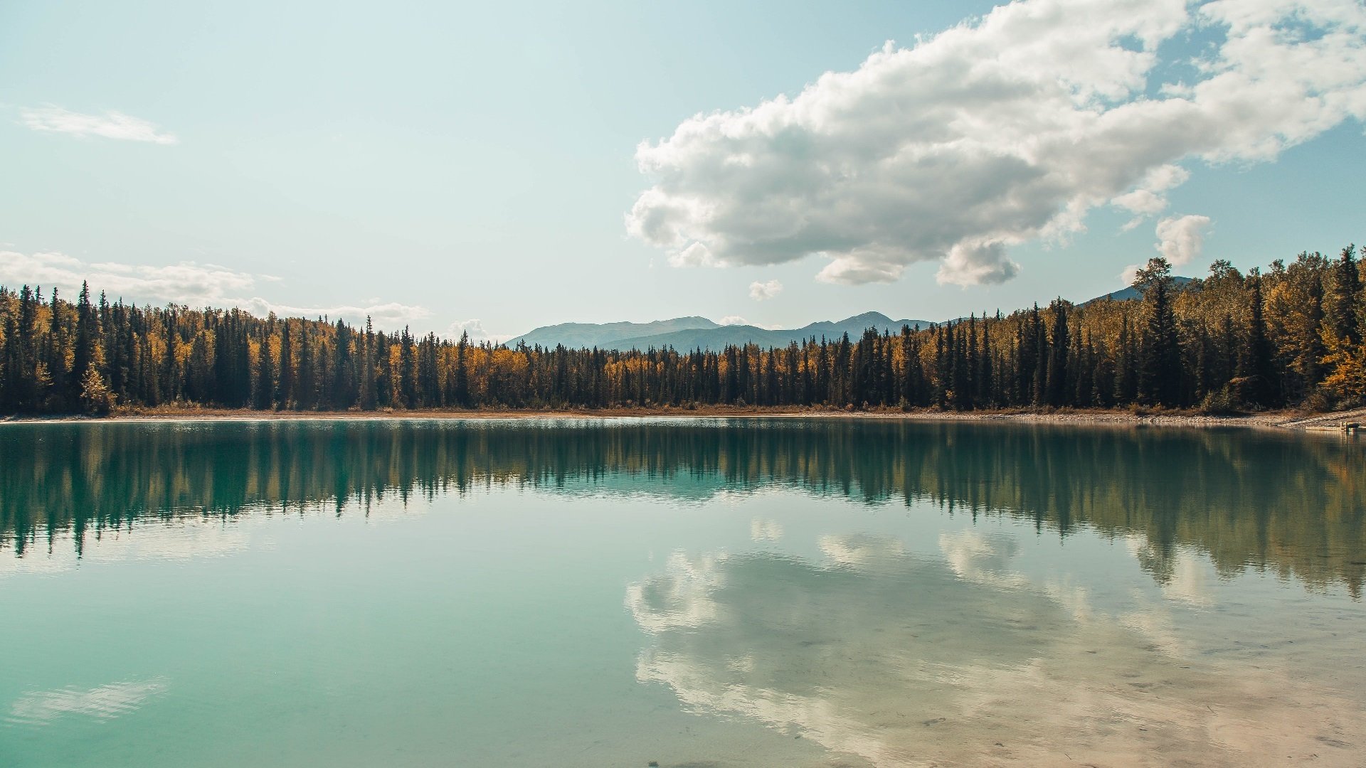 中国三人篮球男队保持高强度训练 储备比赛状态,中国三人篮球队队员名单